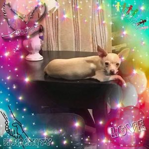 Meet your Posher, Becky